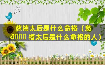 慈禧太后是什么命格（慈 🐋 禧太后是什么命格的人）